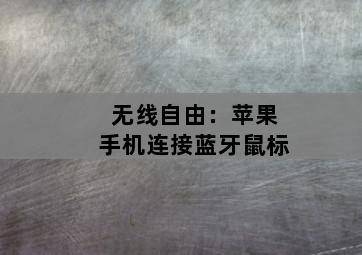 无线自由:苹果手机连接蓝牙鼠标-图片2
